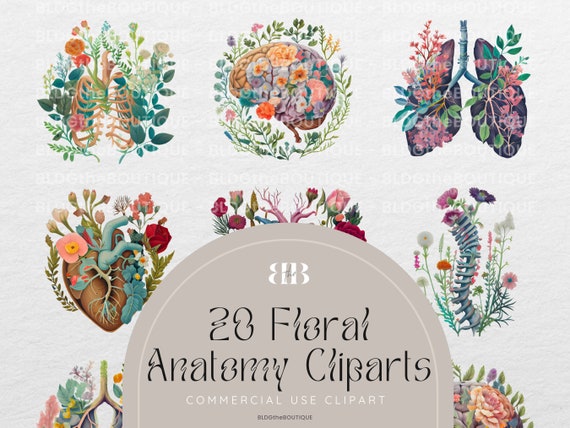 Floral Anatomy Clipart, Anatomic Heart, Flower Lungs Anatomical Print, Commercial Use License, PNG Bundle Files for Sublimation Shirts, POD