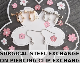 Zusatzoption: 316 Chirurgenstahl und piercingfreier Clip