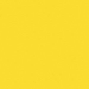 Lemon Zest - Confetti Cottons by Riley Blake Designs, Premium Quilting Cotton