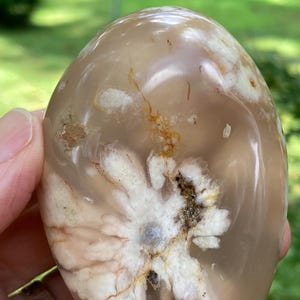 May include: A polished, oval-shaped stone with a translucent, light brown base. The stone features a prominent, white, flower-like pattern with hints of pink and brown. The overall appearance is smooth and natural, with a glossy finish.