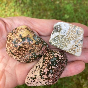 May include: Three polished ocean jasper stones with smooth, rounded surfaces. The stones feature distinct orbicular patterns in shades of green, pink, cream, and tan, with small circular inclusions scattered across the surface of each mineral specimen.