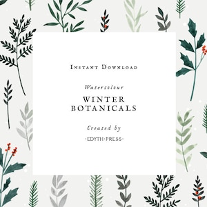Hiver Aquarelle Christmas Clipart Leaf Leaves Sprigs Holiday Botanical Greenery Berries Holly Mistletoe Pine Square Card Contexte PNG