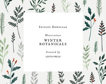 Winter Watercolor Christmas Clipart Leaf Leaves Sprigs Holiday Botanical Greenery Berries Holly Mistletoe Pine Square Card Background PNG