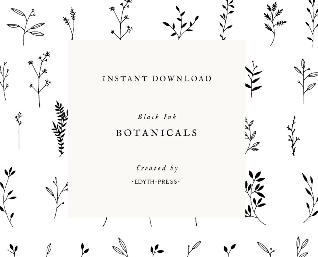 Botanische illustraties Hand getrokken Clipart zwart blad png svg eps ai  bladeren illustraties blad illustraties plant takje tak bruiloft bloemen  elegant - Etsy België, image size:1080x872