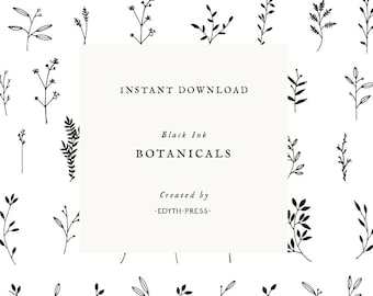 Botanical Clip art Hand Drawn Clipart black leaf png svg eps ai leaves clip art leaf illustrations plant sprig branch wedding floral elegant