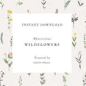 Wildflower Clipart Watercolor Floral Botanical Hand Drawn png flowers clip art seamless illustrations plant flower sprig wedding floral