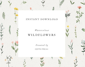 Wildflower Clipart Watercolor Floral Botanical Hand Drawn png flowers clip art seamless illustrations plant flower sprig wedding floral