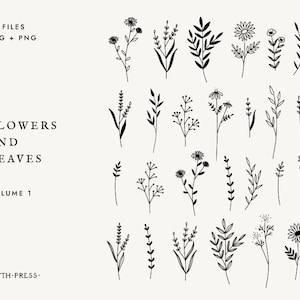 Wildflower SVG bloem svgs floral svg bundel wilde bloemen svg wilde bloemen svg png commercieel gebruik bloem illustraties cricut snijbestanden kunst