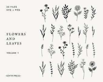 Wildflower SVG flower svgs floral svg bundle wildflowers svg wild flowers svg png commercial use flower illustrations cricut cut files art