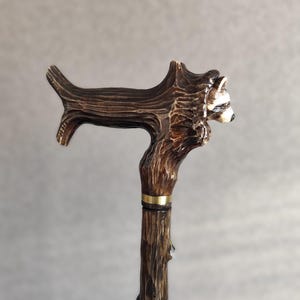 May include: A wooden walking stick with a carved raccoon head handle. The handle is brown and the stick is dark brown.