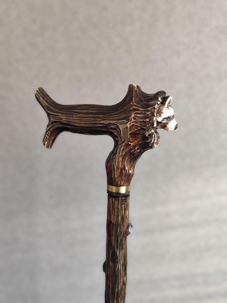 May include: A wooden walking stick with a carved raccoon head handle. The handle is brown and the stick is dark brown.