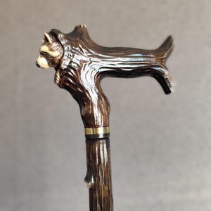 May include: A wooden walking stick with a carved raccoon head handle. The handle is shaped like a tree branch and the raccoon is looking to the left. The stick is brown and has a gold band near the top.