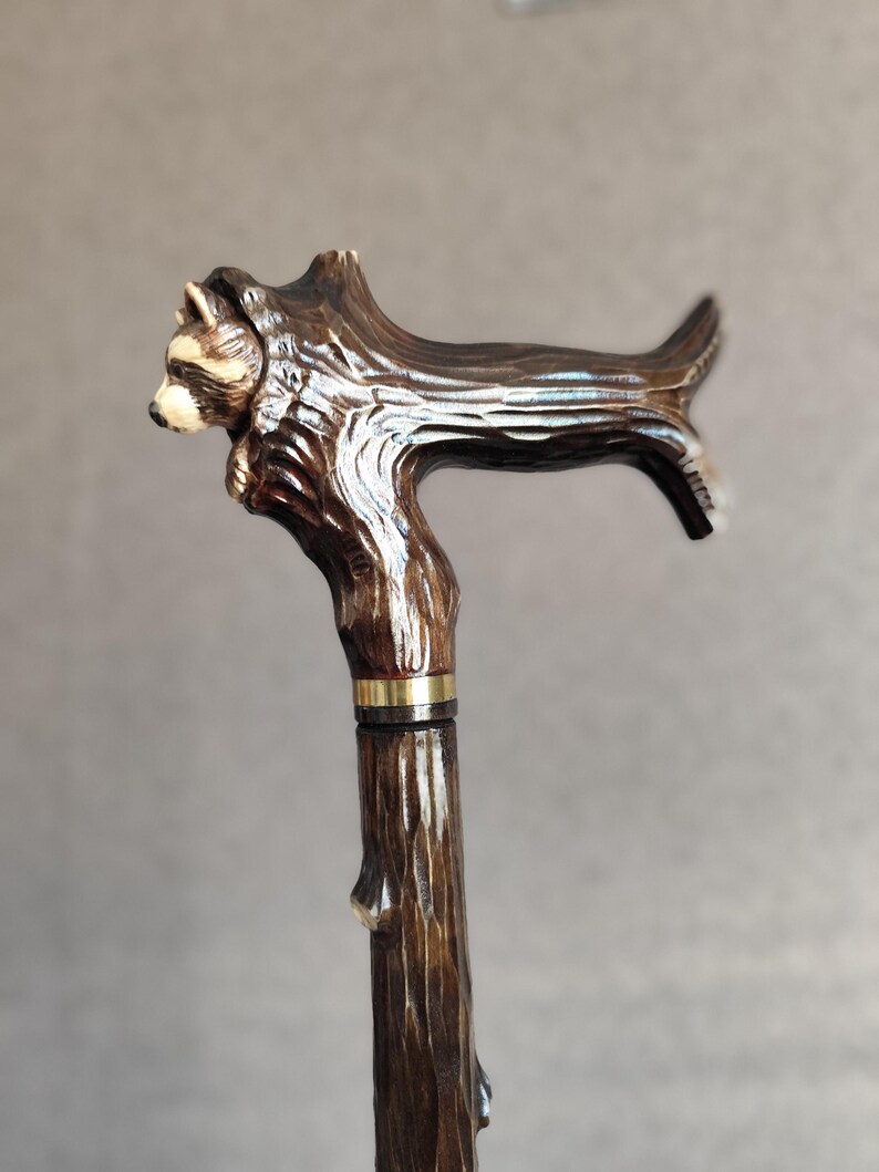 May include: A wooden walking stick with a carved raccoon head handle. The handle is shaped like a tree branch and the raccoon is looking to the left. The stick is brown and has a gold band near the top.