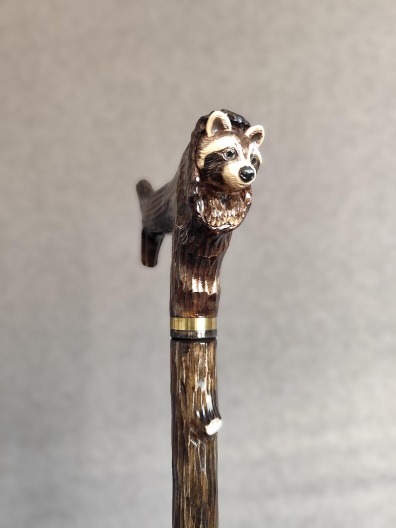 May include: A wooden walking stick with a carved raccoon head handle. The handle is brown and black with a gold band. The stick is brown and has a natural wood finish.
