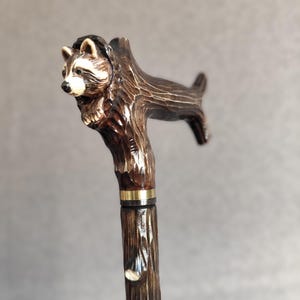 May include: A wooden walking stick with a carved raccoon head handle. The handle is brown and the stick is dark brown.