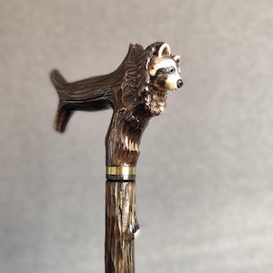 May include: A wooden walking stick with a carved raccoon head handle. The stick is brown and has a gold band near the top.