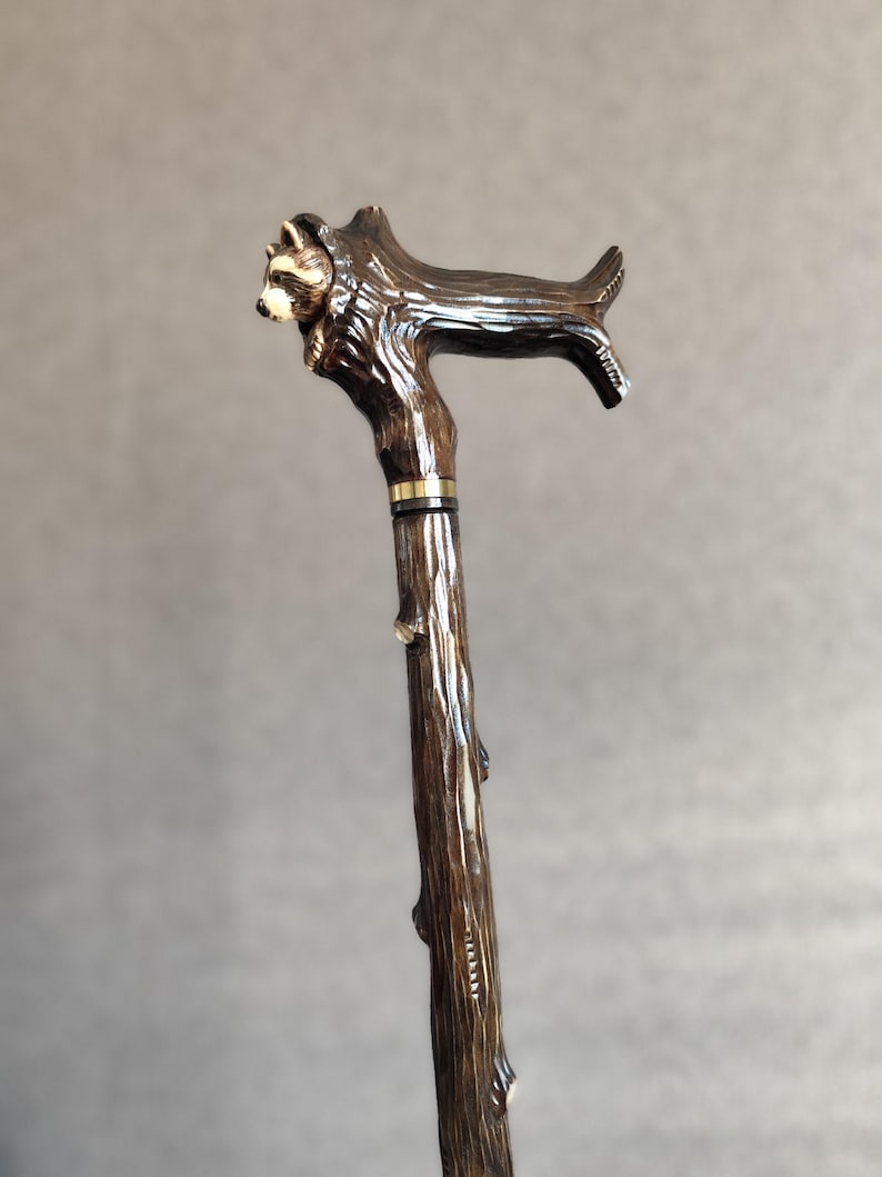 May include: A wooden walking stick with a carved raccoon head at the top. The stick has a brown finish and a gold band near the top.