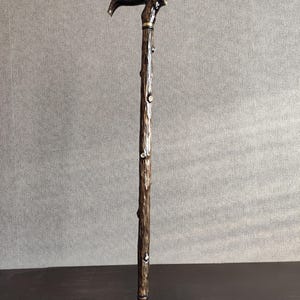 May include: A wooden walking stick with a raccoon head handle. The stick is brown and has a textured surface. The raccoon head is painted in shades of brown and black.
