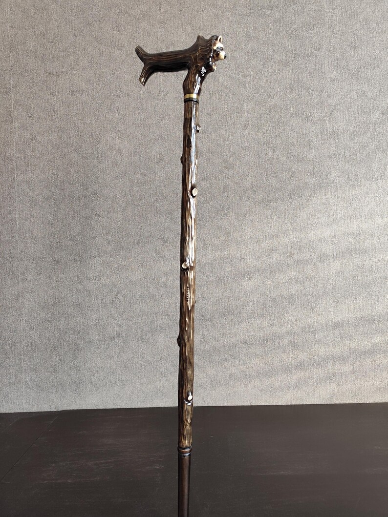 May include: A wooden walking stick with a raccoon head handle. The stick is brown and has a textured surface. The raccoon head is painted in shades of brown and black.