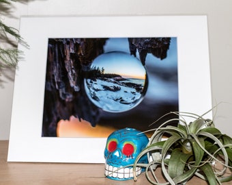Print 8x10, matted for 11x14 frames!