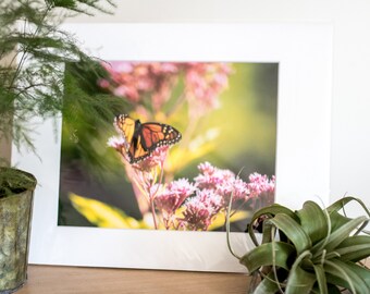 Print 8x10, matted for 11x14 frames!