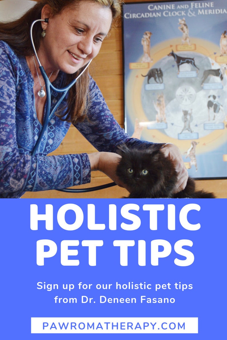 Cat Herbal Hot Spot Spray Natural Healing Skincare Spray Etsy