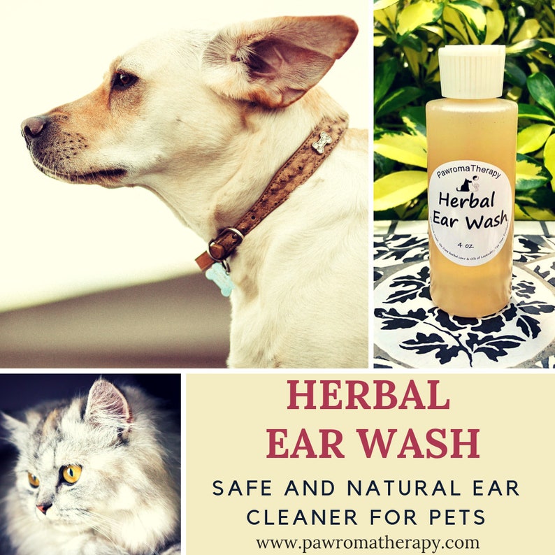 Herbal Ear Cleaner for Dogs and Cats 4oz Natural Pet Ear Wash Etsy