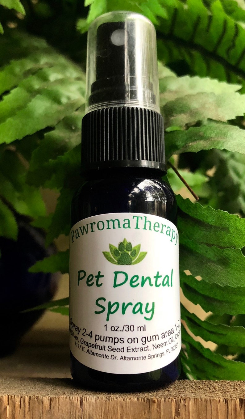 Cat Dental Care Spray All Natural, 1oz, Natural Products for Cats, Cat