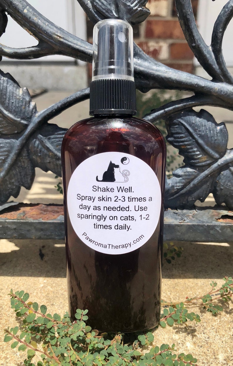 Cat Herbal Hot Spot Spray Natural Healing Skincare Spray Etsy