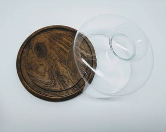Gailstyn-Sutton Teak with Glass Cloche Cheese tray/board/plate