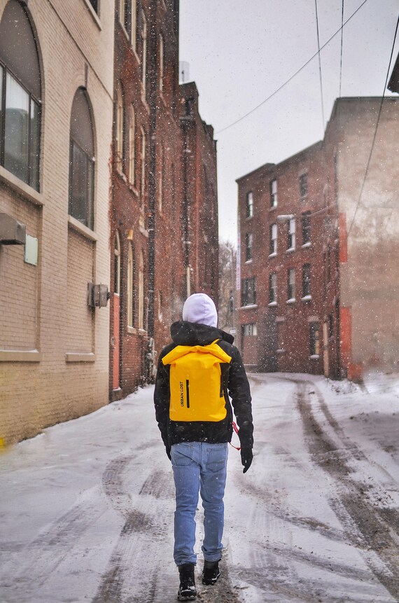 urban lost backpack