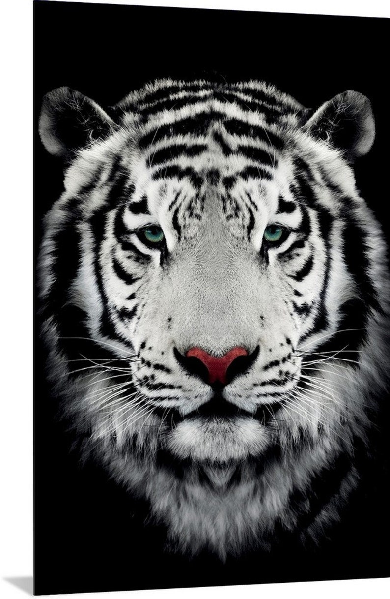 Dark Bengal Tiger Acrylic Wall Art Print Etsy
