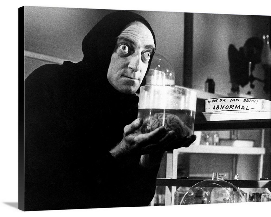 Young Frankenstein Canvas Wall Art Print Etsy