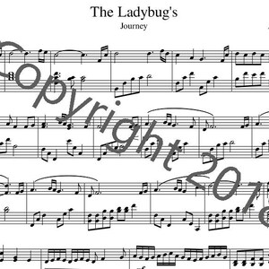 The Ladybug&#39;s Journey