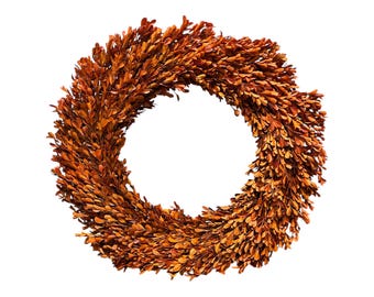 20 inch Preserved Box Wood Wreath Fall Decor X- Large