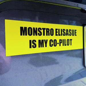 Substance Movie Car Magnet, Film Fan Gift, Vehicle Decor, Classic Cinema Accessories, Car Accessories