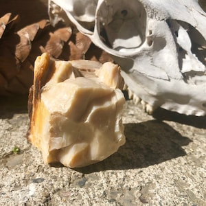 Agatized~Opalized Oregon Petrified Wood