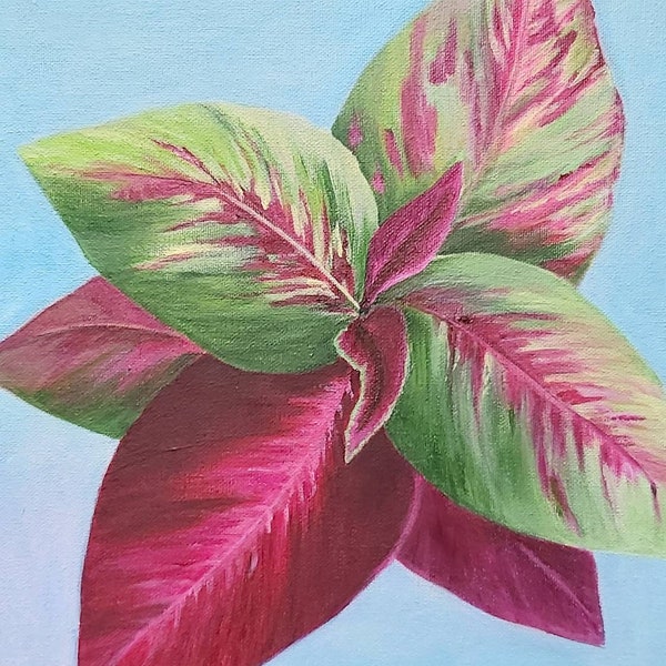 Coleus. The tropical plant. One of the kind. Acrylic painting.