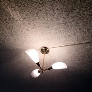 Vintage Chandelier - Brass and Rhodoid Plastic 3 Lights - 1960