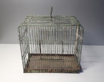 Old metal bird cage - In its own juice