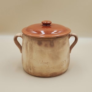 May include: A ceramic casserole dish with a lid. The dish is tan with brown accents and a brown lid. It has two handles and the text "ProWing Loving Ware" and the number "21" on the front.