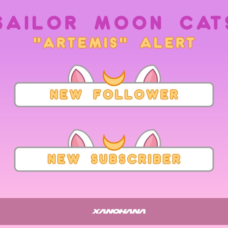 Cat Discord Banner - Etsy
