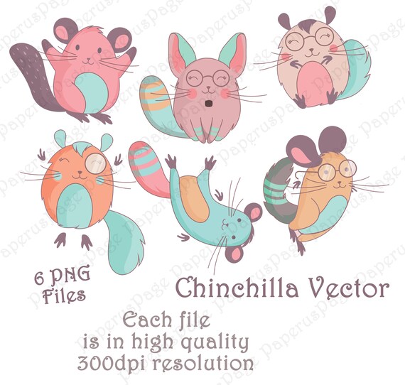 Chinchilla Chinchilla Clipart Stickers Chinchilla Chomiak Etsy