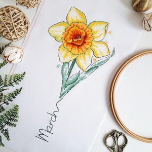 Narciso Giunchiglia Schema Punto Croce Marzo Mese Nascita Fiore - Sampler Nascita - Alfabeto incluso - Artmishka Punto Croce - PDF