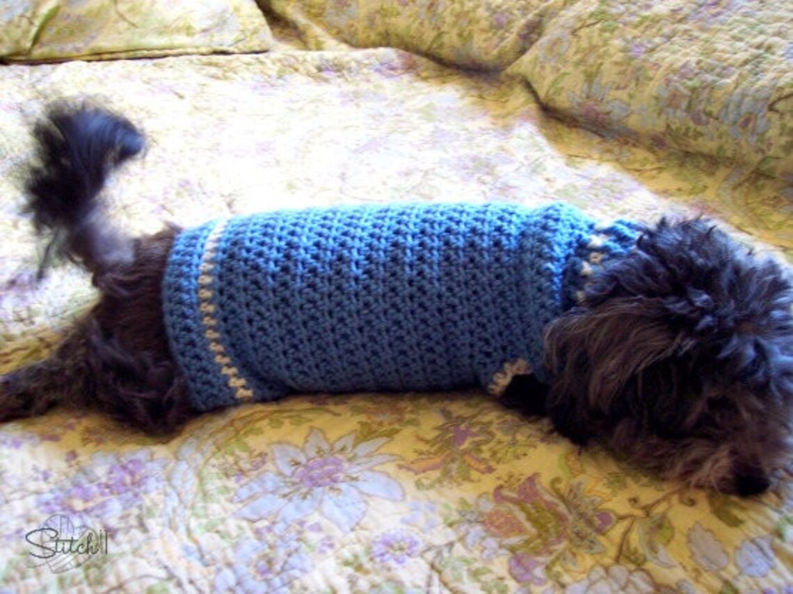 Small Dog Coat Crochet Pattern Crochet Dog Jacket Pattern Etsy