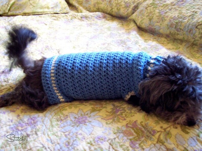 Small Dog Coat Crochet Pattern Crochet Dog Jacket Pattern Etsy