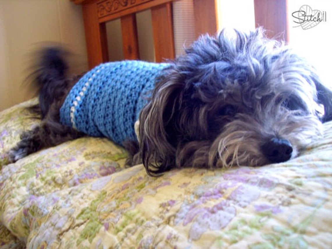 Small Dog Coat Crochet Pattern Crochet Dog Jacket Pattern Etsy