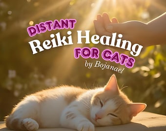 Guarigione Reiki a distanza per gatti: sollievo da stress e dolore