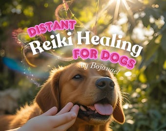 Guarigione Reiki a distanza per cani: sollievo da stress e dolore