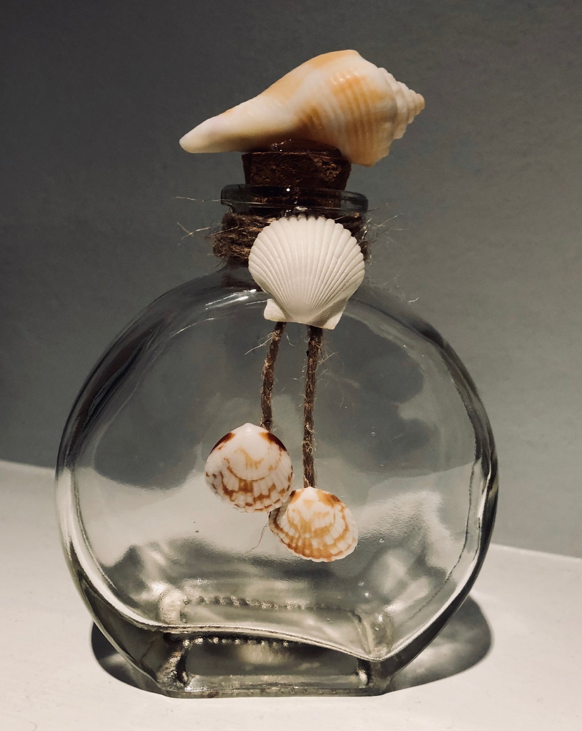 Small Glass Seashell Decorative Bottles Etsy Israel